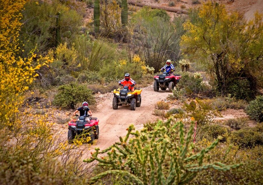 Sonoran Desert: Guided UTV or ATV Desert Tour - Key Highlights You Should Care About