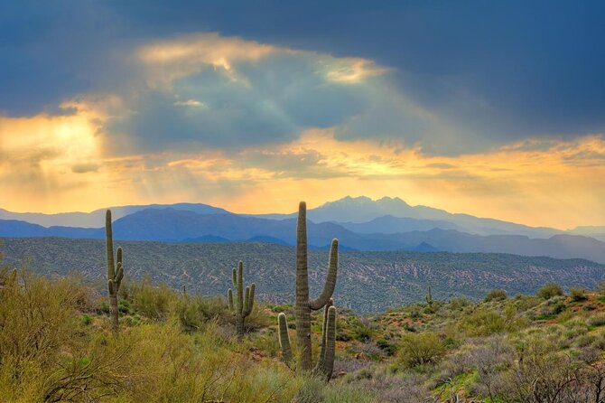 Sonoran Desert Jeep Tour at Sunset - Key Points You Should Know Before You Go