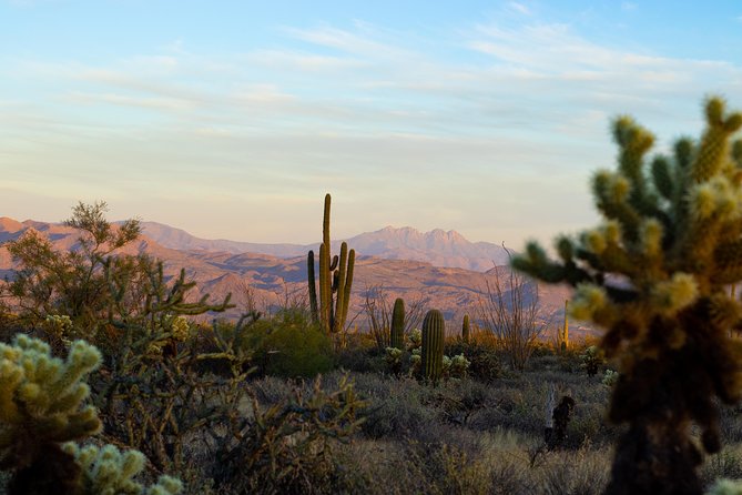 Sonoran Desert Jeep Tour at Sunset - The Jeep Ride Reality, Bumps, Steps, and Comfort