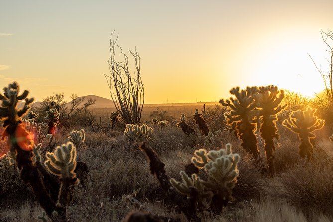 Sonoran Desert Jeep Tour at Sunset - How the Tour Route Flows, Stop by Stop