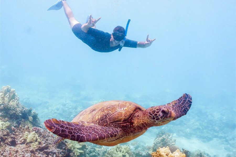 South Maui: Molokini Snorkeling Adventure - Calypso triple-deck comfort from Maalaea Harbor