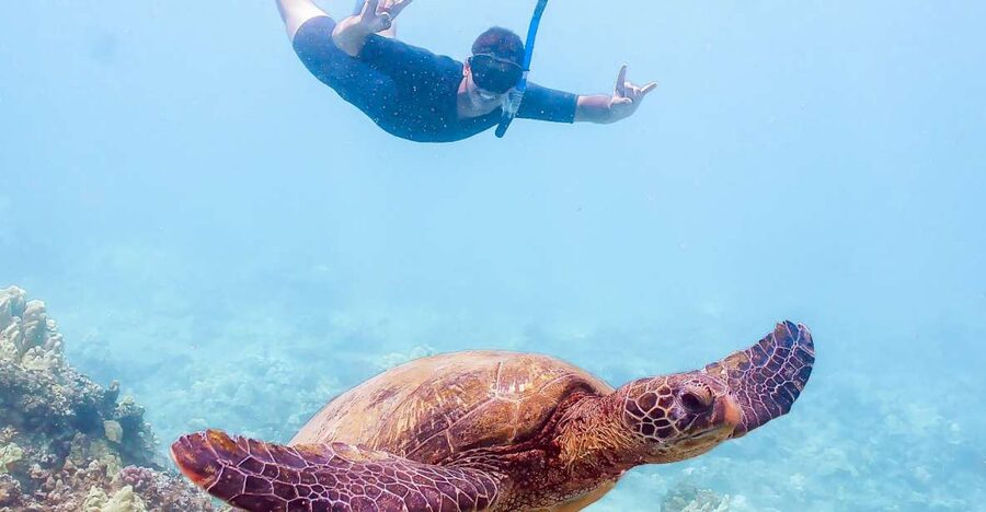 South Maui: Molokini Snorkeling Adventure - Molokini Crater: protected volcanic walls with 150-foot clarity