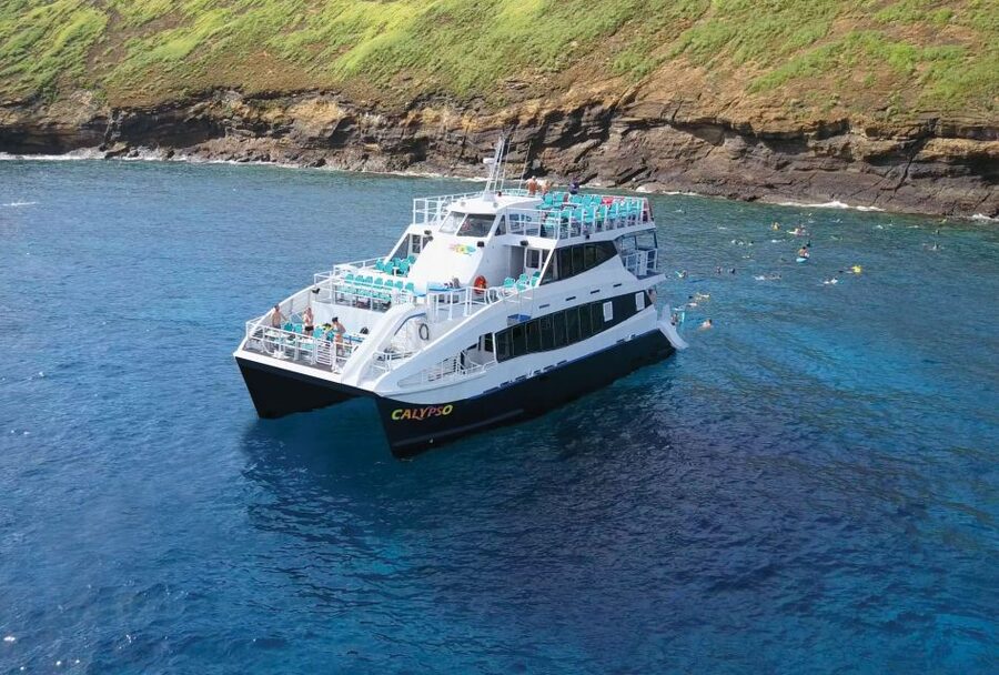 South Maui: Molokini Snorkeling Adventure - Turtle Town calm water and Hawaiian green sea turtles