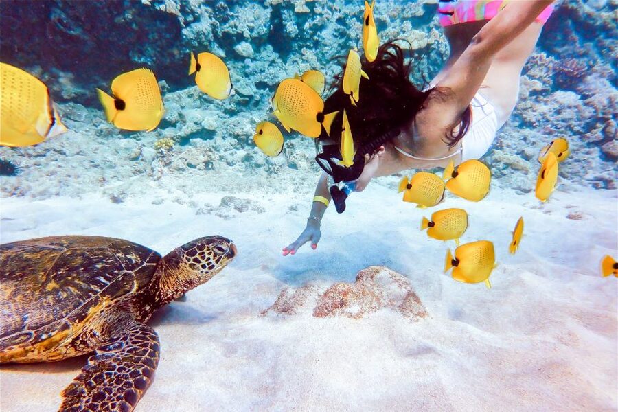 South Maui: Molokini Snorkeling Adventure - Boat amenities that make snorkeling feel easier