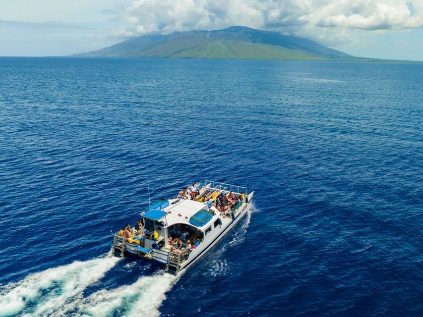 South Maui: Molokini & Turtle Town Snorkeling Tour with Meal - Who should book, and who should skip South Maui snorkeling like this