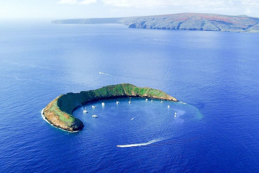 South Maui: Molokini & Turtle Town Snorkeling Tour with Meal - Getting to Maalaea Harbor: check-in and what happens before you swim
