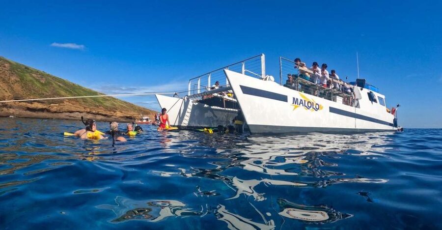 South Maui: Snorkel to Coral Gardens or Molokini Crater - Maalaea Bay: safety briefing, scenery, and whale-watching time