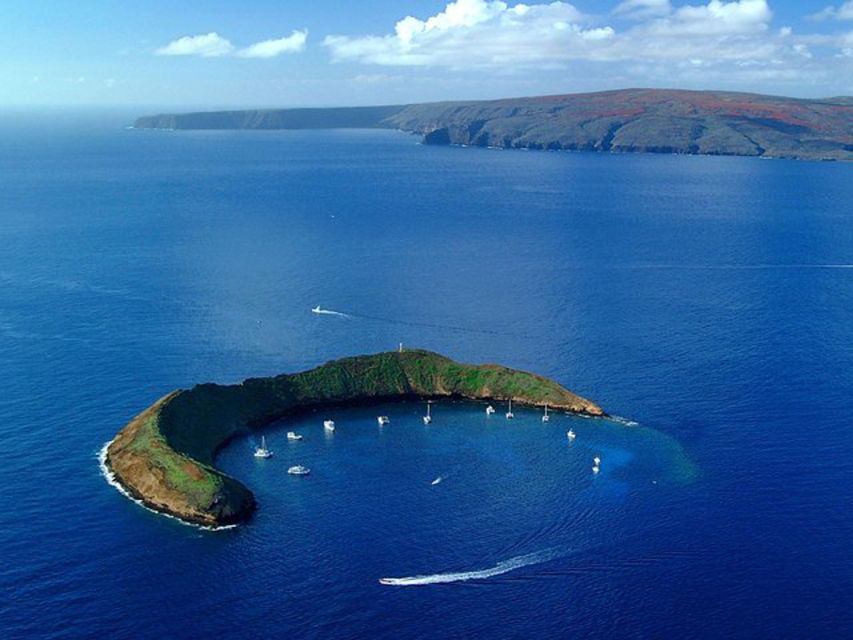 South Maui: Snorkel to Coral Gardens or Molokini Crater - Molokini Crater when wind cooperates