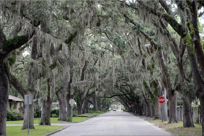 St. Augustine Hop-On Hop-Off Trolley Tour - Stop 1 to 5: Old Jail Museum, Waxes, and Pirate-Level Fun