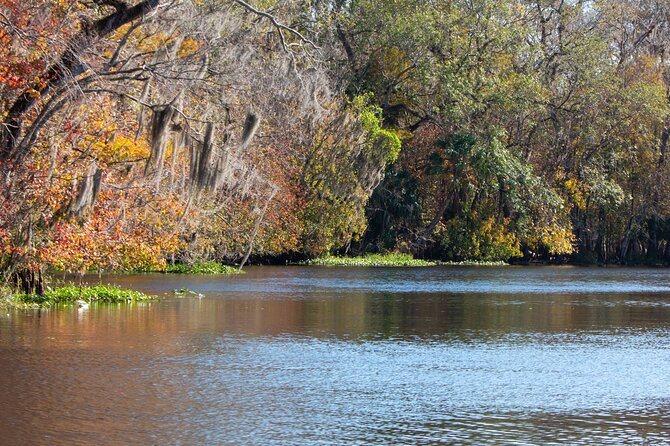 St. Johns River Cruise - Blue Spring State Park - Blue Spring State Park and the St. Johns River, what you are really signing up for