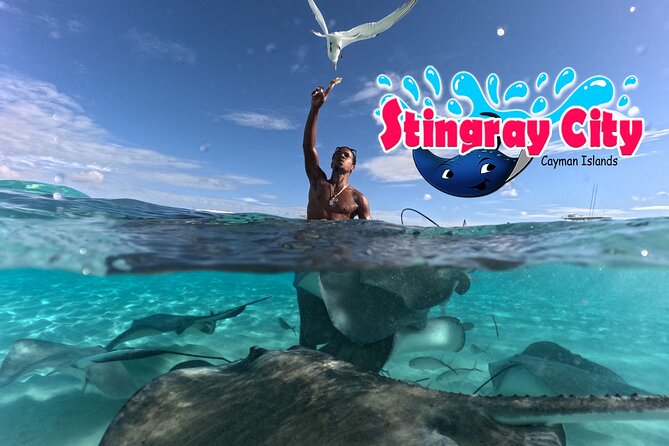 Stingray City and Starfish Experience with Coral Reef Snorkeling - Stop 1: Stingray City sandbars, shallow water, and a good behavior briefing