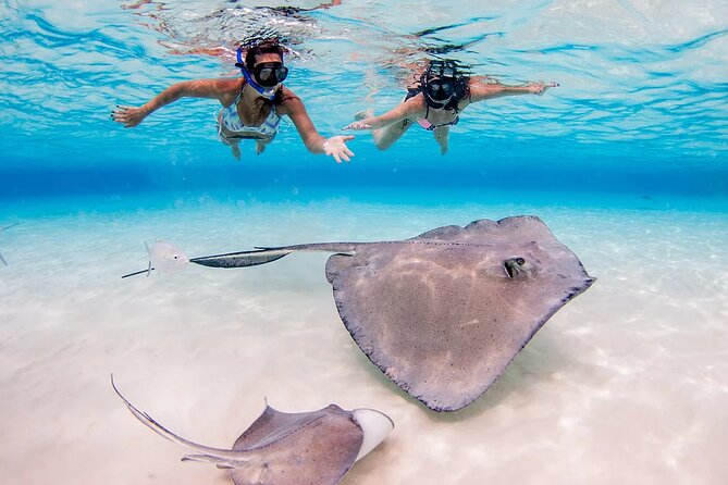 Stingray City and Starfish Experience with Coral Reef Snorkeling - Price and value: what $65 gets you and why it feels fair