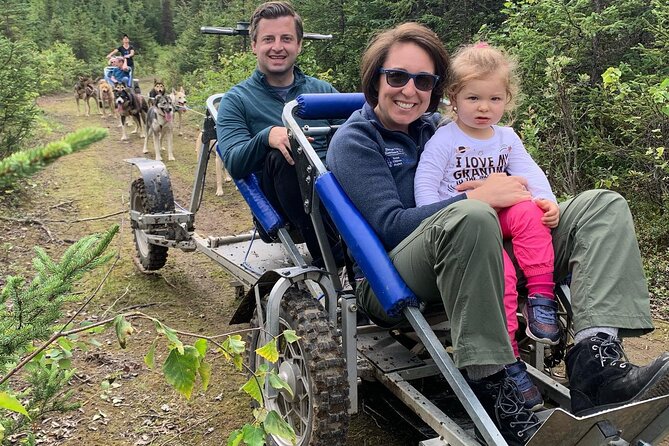 Summer Dog Sledding Adventure in Willow, Alaska - Key Highlights Worth Prioritizing