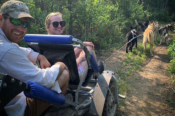 Summer Dog Sledding Adventure in Willow, Alaska - After the Trail: Nature Walk to a Denali-View Pavilion