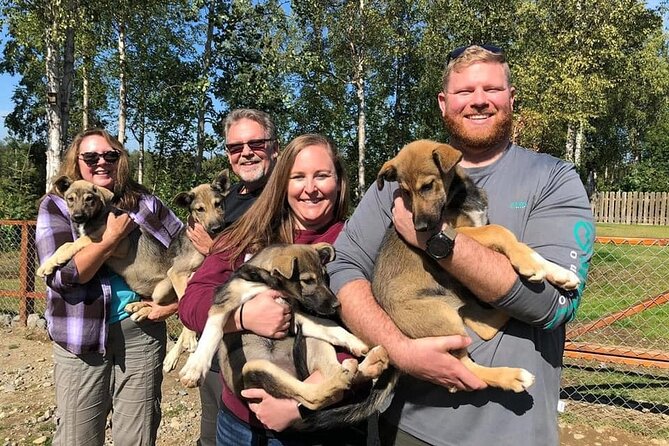 Summer Dog Sledding Adventure in Willow, Alaska - Iditarod Stories Up Close, Plus Stepping Into a Musher Moment