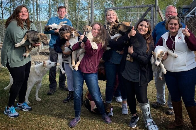 Summer Dog Sledding Adventure in Willow, Alaska - Price and Value: Is $208 Worth It?