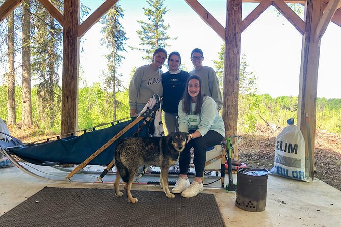 Summer Dog Sledding Adventure in Willow, Alaska - Final Call: Should You Book This Willow Summer Dog Sledding Adventure?