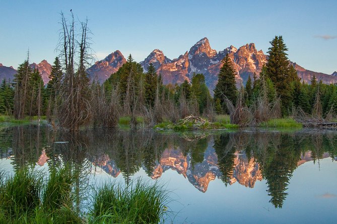 Sunrise 4-Hour Grand Teton Wildlife Adventure - Key highlights worth getting excited about