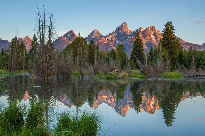 Sunrise 4-Hour Grand Teton Wildlife Adventure - Optics and viewing style: binoculars, spotting scopes, and better photos