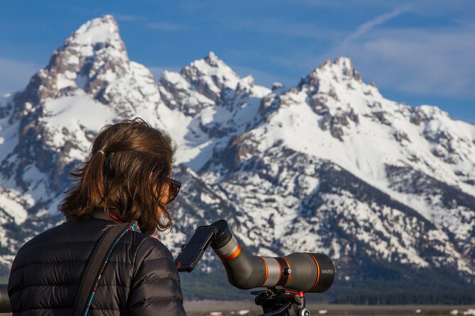 Sunrise 4-Hour Grand Teton Wildlife Adventure - Price and value: what $198 really covers