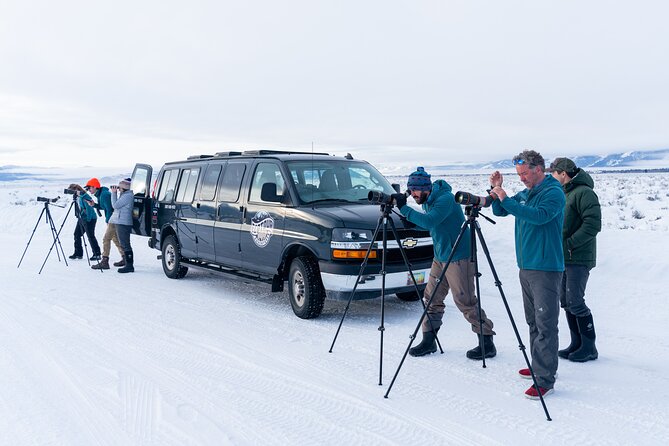 Sunrise 4-Hour Grand Teton Wildlife Adventure - Who should book this sunrise safari (and who should reconsider)
