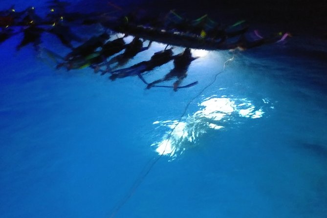 Sunset and Manta Ray Snorkel Adventure - A 50-foot catamaran sunset that starts your manta night on the right note