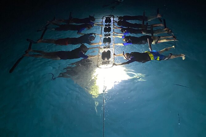 Sunset and Manta Ray Snorkel Adventure - Gear, warmth, and what to bring so you do not cut the evening short