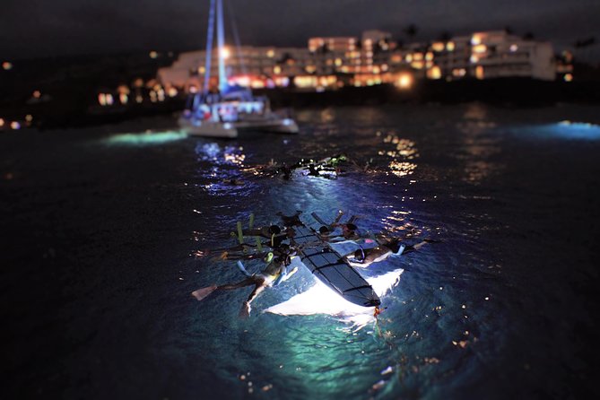 Sunset and Manta Ray Snorkel Adventure - How the night snorkel with manta rays actually plays out
