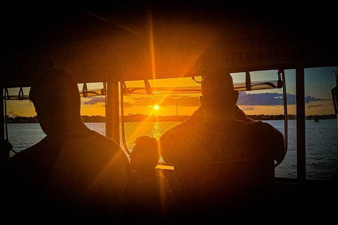 Sunset Cruise of St. Augustine - Wildlife on the bay: dolphins as a bonus, not a promise