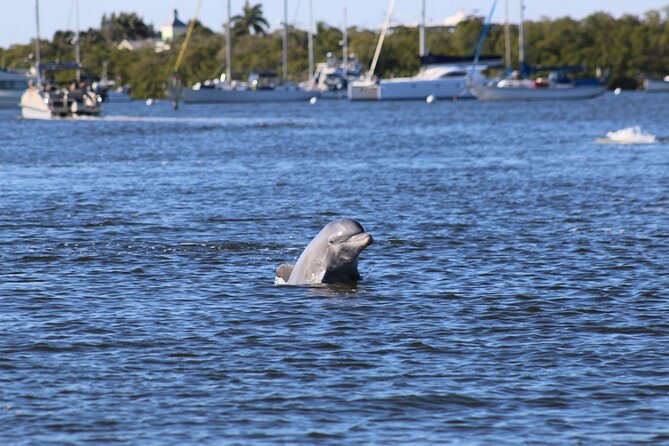 Sunset Dolphin Cruise with Sanibel Lighthouse Views - Sanibel Lighthouse at sunset: why this cruise is more than a dolphin ride