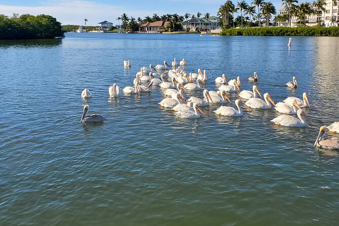 Sunset Dolphin Cruise with Sanibel Lighthouse Views - Best moments for photos: lighthouse, wake, and sunset timing