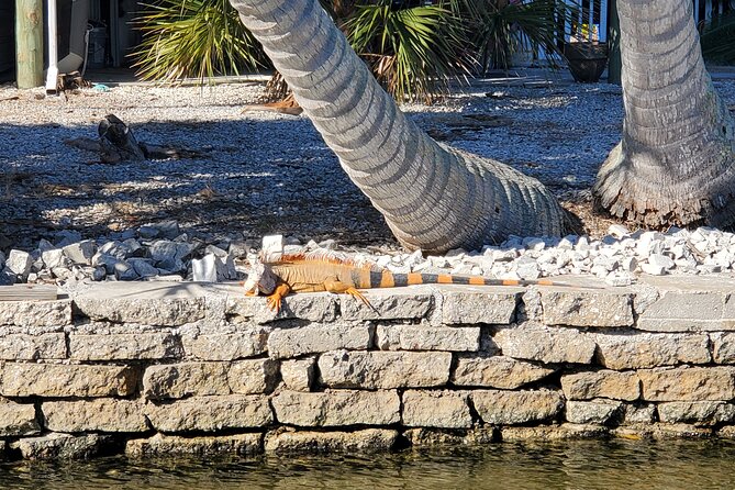 Sunset Dolphin Cruise with Sanibel Lighthouse Views - Should you book this cruise? My straight answer