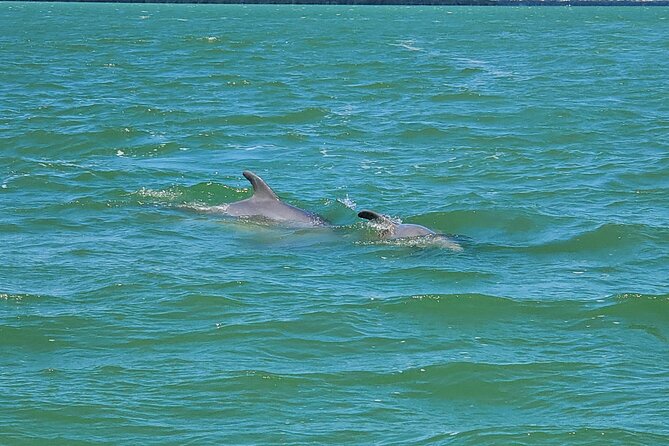 Sunset Dolphin Cruise with Sanibel Lighthouse Views - The route in plain English: Shrimp Boat Fleet, Mound House, Bowditch Point