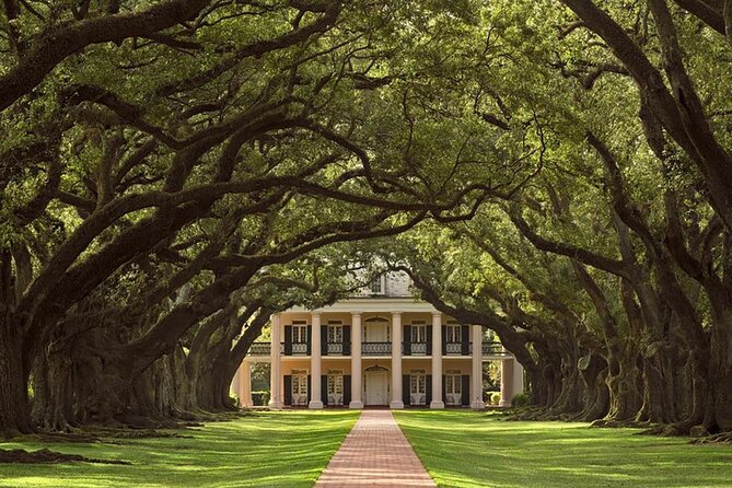 Swamp Boat Ride and Oak Alley Plantation Tour from New Orleans - Comfort and Timing: A Full-Day Tour That Still Moves