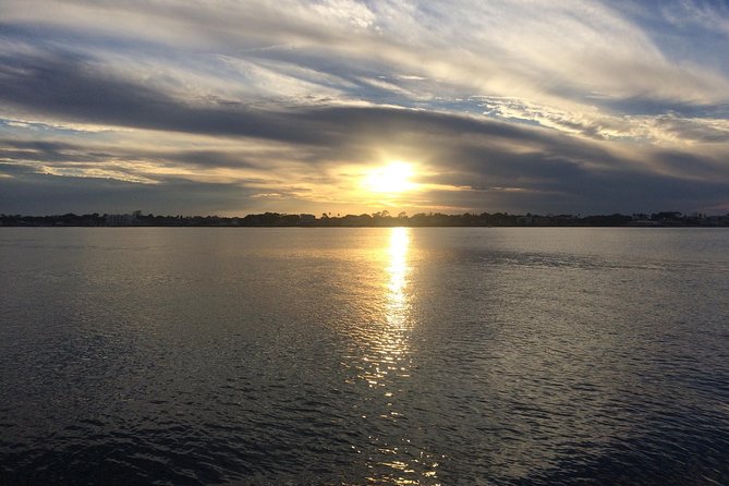 Take a Scenic Boat Ride in St. Augustine - Wildlife chances, and why the boat feels so relaxing
