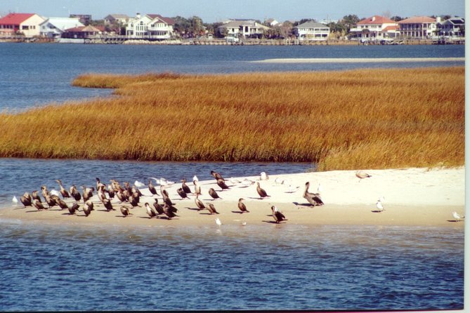 Take a Scenic Boat Ride in St. Augustine - Bridge history narration as you pass under
