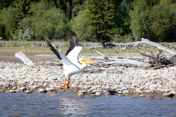 Tetons and Snake River Scenic Float Trip In Jackson Hole - Price and value: is $120 for 3 hours fair?