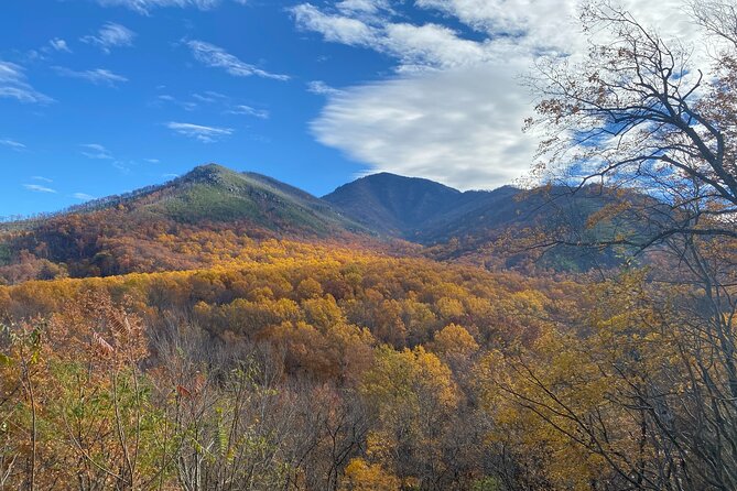 The "Classic" National Park Tour - Why this 3-hour Classic tour feels like a best-of version
