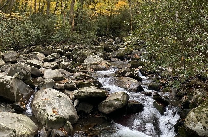 The "Classic" National Park Tour - Newfound Gap: standing on the state line with the FDR story