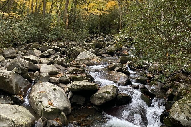 The "Classic" National Park Tour - When to book for better views: leaves in October, crisp winter air