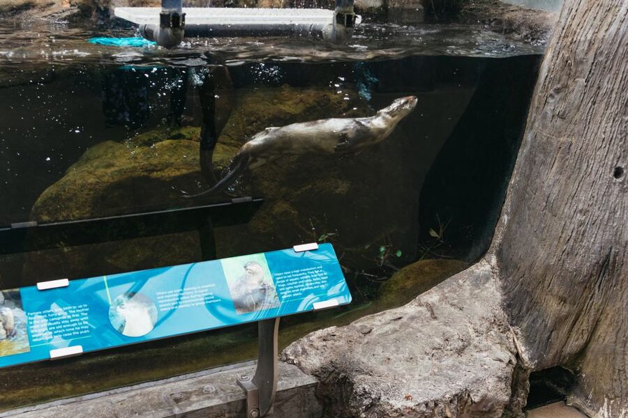 The Florida Aquarium Ticket - Price and value: what $36 gets you