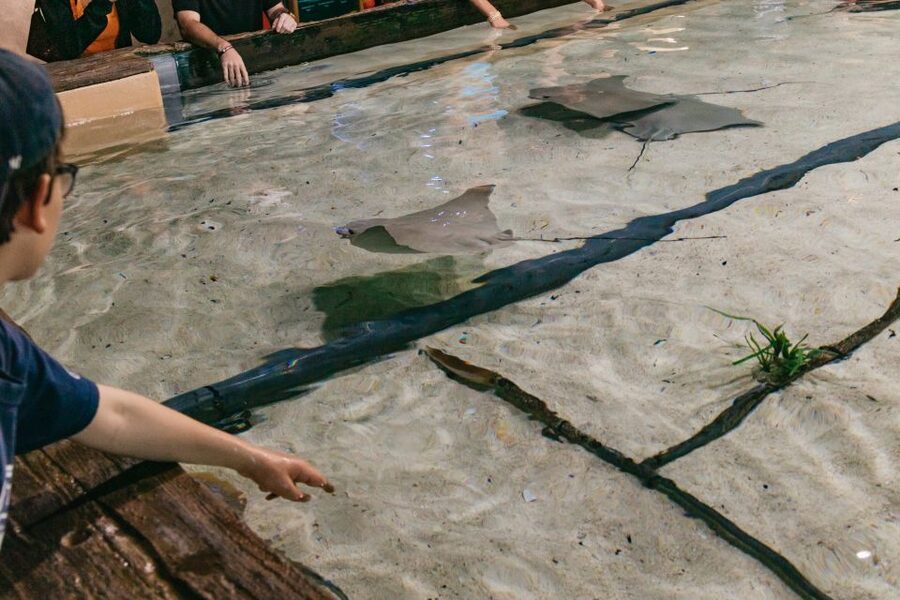 The Florida Aquarium Ticket - MORPH’D: adaptation you can understand fast