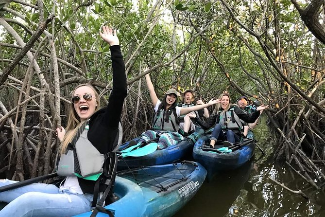 Thousand Island Mangrove Tunnel, Manatee & Dolphin Kayak Tour w/Cocoa Kayaking - Key things I’d plan around