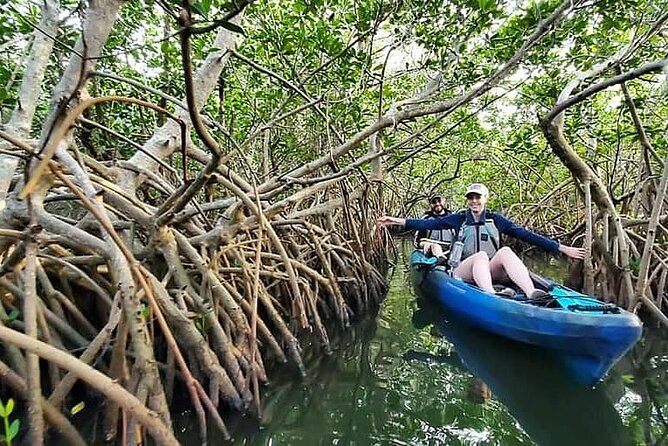 Thousand Island Mangrove Tunnel, Manatee & Dolphin Kayak Tour w/Cocoa Kayaking - Your Guide, the Photo Plan, and Why It Feels Like More Than Just Paddling