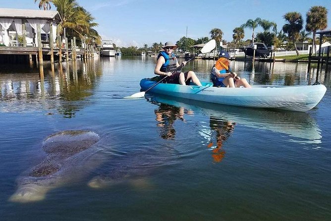 Thousand Island Mangrove Tunnel, Manatee & Dolphin Kayak Tour w/Cocoa Kayaking - Price and Value for $69.08: What You Are Actually Paying For