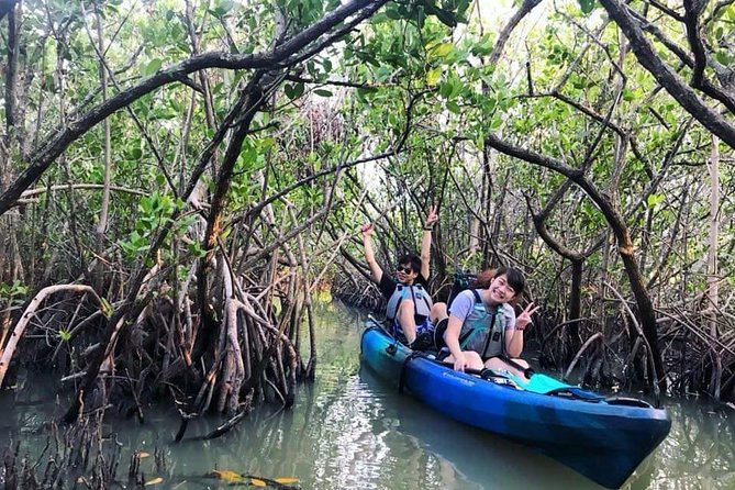 Thousand Island Mangrove Tunnel, Manatee & Dolphin Kayak Tour w/Cocoa Kayaking - Who Should Book This Kayak Tour, and Who Might Prefer Something Else