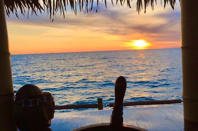 Tiki Boat - Clearwater - The Only Authentic Floating Tiki Bar - Wildlife Spotting That Feels Personal on a Small Boat