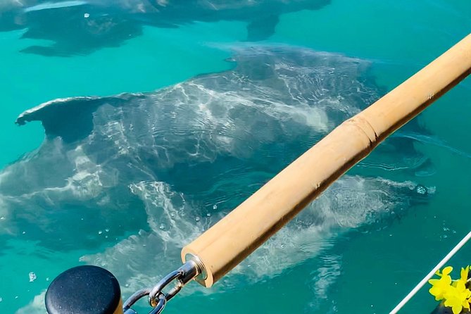 Tiki Boat - Clearwater - The Only Authentic Floating Tiki Bar - Kids, Life Jackets, and Family-Friendly Timing