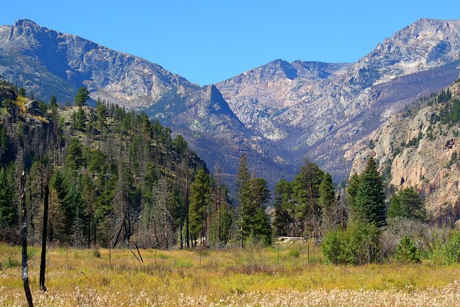 Top of the World Tour (Wildside 4x4 Tours) - Continue up Old Fall River Road: switchbacks, wildlife, and more waterfalls