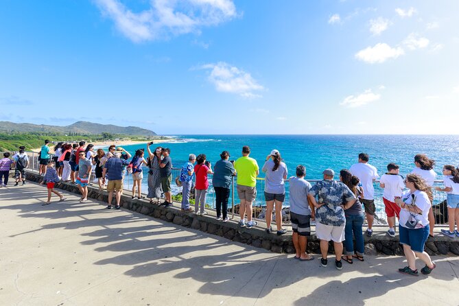Tour of North Shore & Waimea Waterfall - Diamond Head and Halona Blowhole: classic viewpoints, fast photo time